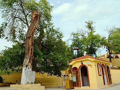 Святыни апостольской церкви